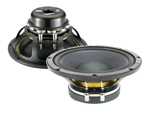 CIARE 10" PA Loudspeakers